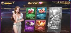 Những thuật ngữ quan trọng khi chơi bài cào